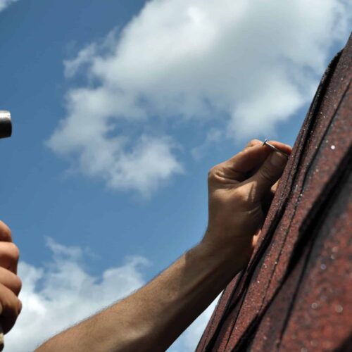 AdobeStock_102341888-scaled